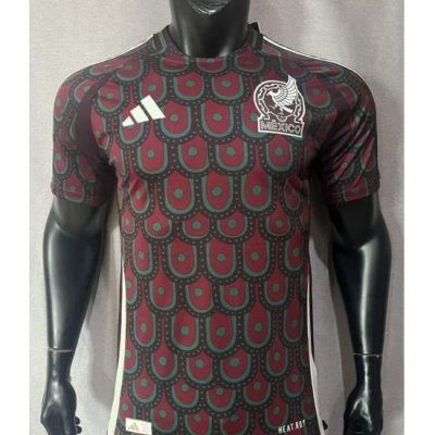 Mexico 2024 Soccer Short Sleeve Jersey